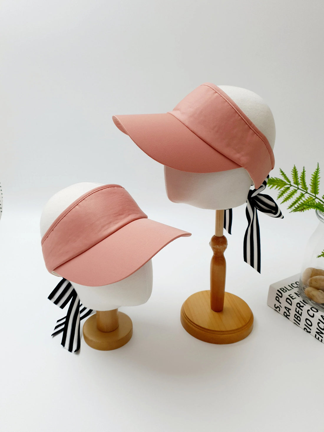 LIC VISOR