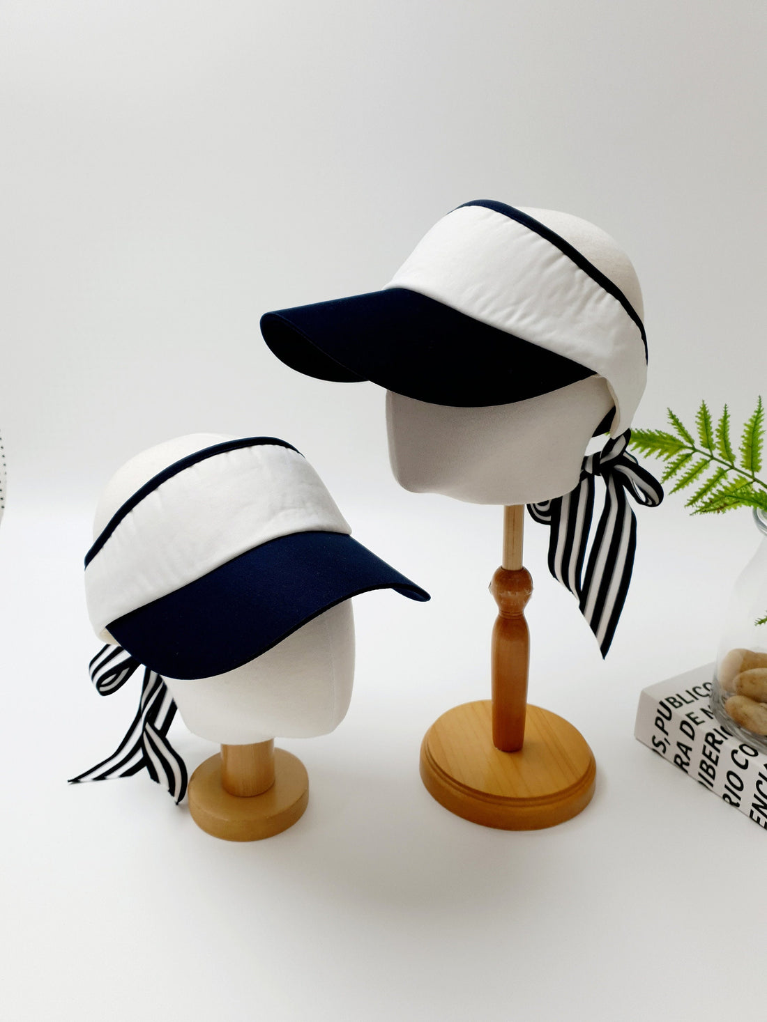 LIC VISOR